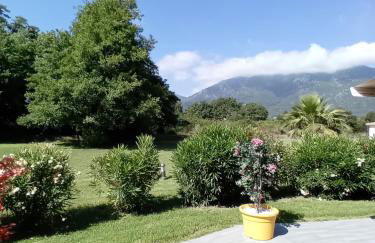 Appartement T2 bord de mer/piscines - Foto 11