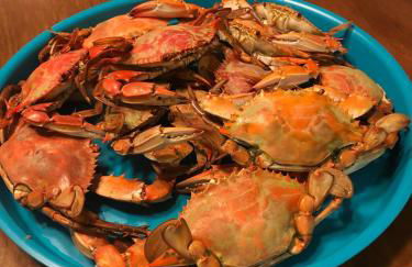 Waterfront Private Pier Pleasure Island Lake House - Foto 7