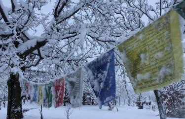 Happy hill - appartamento Quercia - natura e relax - Foto 40
