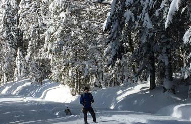 Chamois Rouge - Foto 38