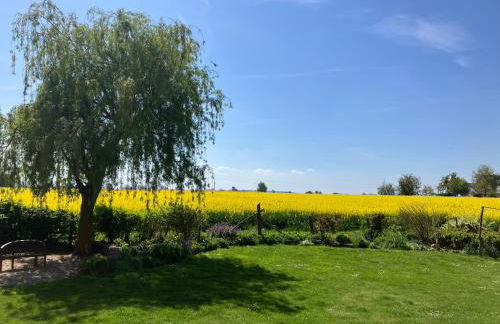 Finkennest am Desenberg - Foto 27