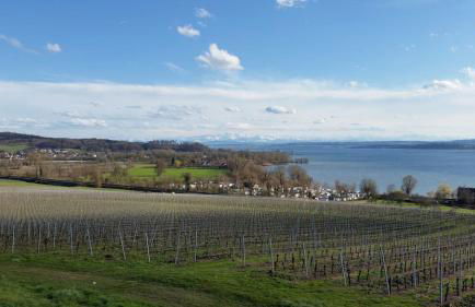 Ferienwohnung TREIBGUT - Foto 21