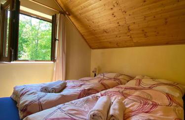 Holiday Home Asja Lukovo Bribir - Foto 13