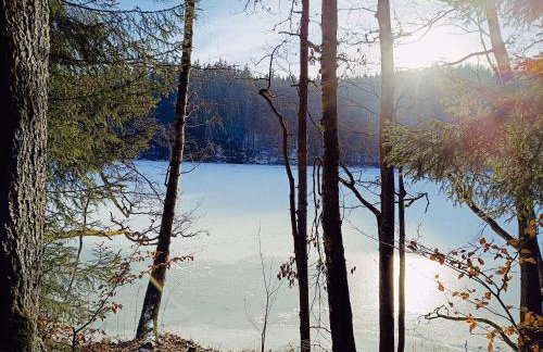 Chatka Mechatka - Foto 15