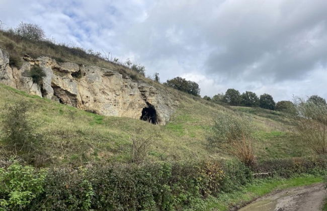 Holiday Home in Bemelen With Sauna - Photo 35