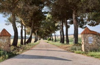 Dehesa Vieja Casa Rural - Foto 60