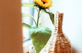 Wohnung 1 - b43244 - Foto 9