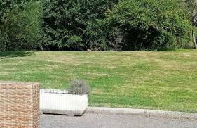 Gîte familial au bord de l'Orne, au pied du château de Mesnil-Glaise - Foto 1