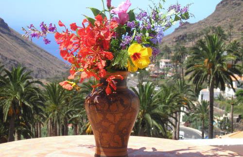 Goyo Gomera Apartments - Foto 63