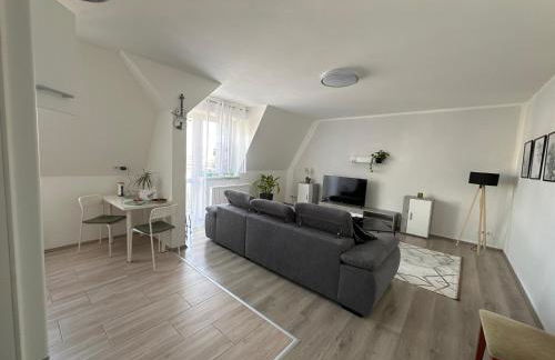 Über den Dächern von Halle - Foto 1