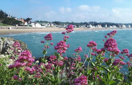 Appartement terrasse esprit loft vue sur mer - Foto 54