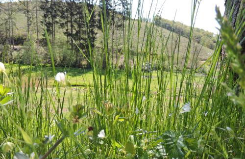 Seveniger Mühle - Foto 7