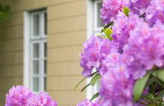 Haus Flora - Photo 8