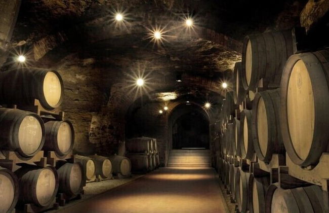 Fattoria Sant'Appiano - Foto 75