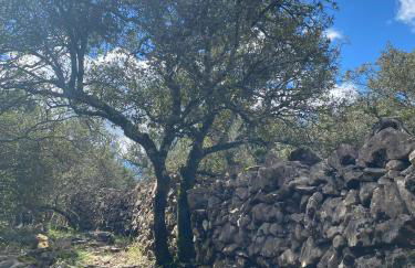 Studio en plein centre des Vans - Foto 29