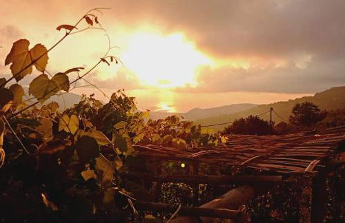 Atelier.Germana - Foto 19