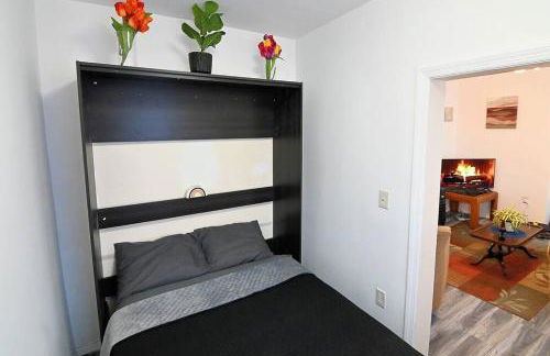 Hidden Gem-1Bedroom with Plenty Free Street Parking - Foto 13