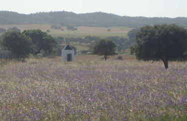 Herdade dos Montes Bastos - Foto 24