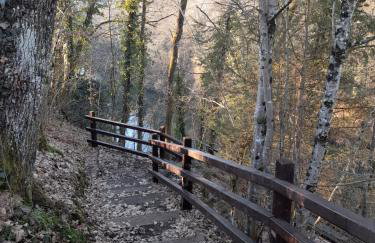 WOODEN HOUSE near the River Kupa - Foto 58
