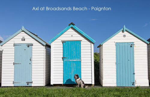 Dart Haven - cheerful holiday bungalow in Galmpton - Photo 28