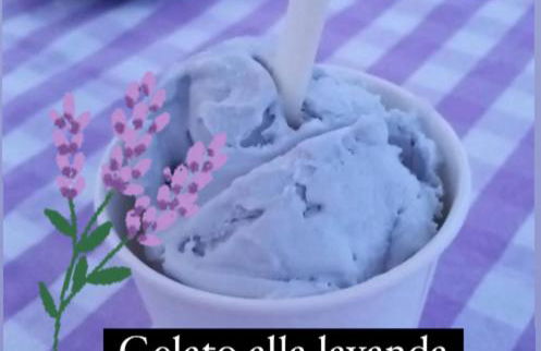 La lavanda di Poppi-mini appartamento - Foto 51