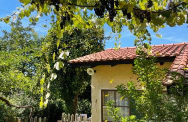 Casa de Vilar de Rei, a tranquilidade do mundo rural - Foto 1