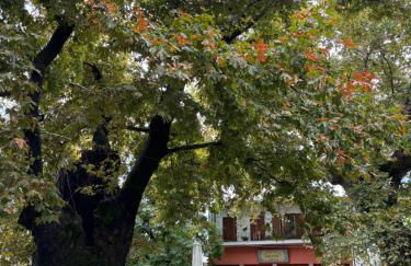 Homer's Guesthouse - Foto 35