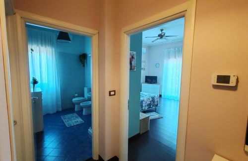 Il tulipano - Foto 10