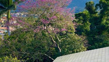 Studios Altos da Igrejinha - Foto 4