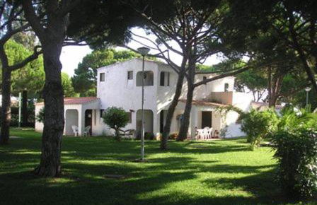 Amazing Algarve - Albufeira - Foto 9