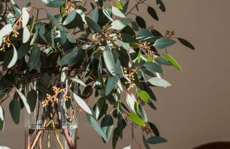 Flattered to be in Porto - Foto 48