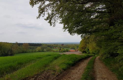 Ferienwohnung Varus - Foto 34