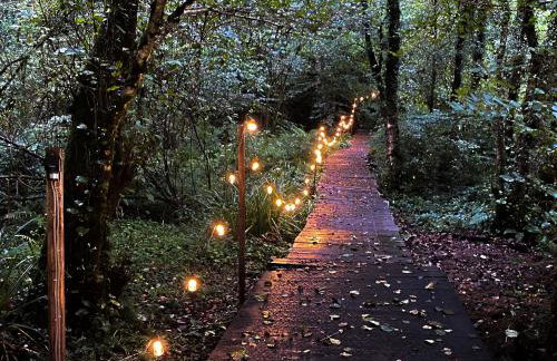 The Goose Nest - Foto 14