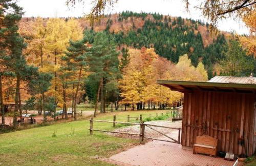 Holiday Home in Walscheid mit Terrasse- Grill by Interhome - Foto 30