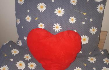 Agroturystyka Zielone Wzgorze - Foto 17