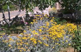 Apartments Krušvina - Foto 41