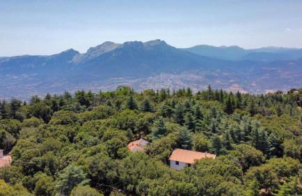 Monte Ortobene 1 - Foto 1