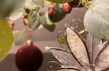 Ferienwohnung Lindenhof - Photo 34