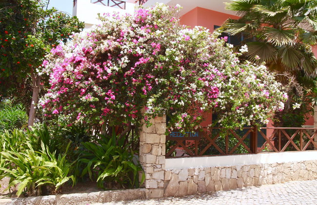 Nautilus Aparthotel - Photo 7