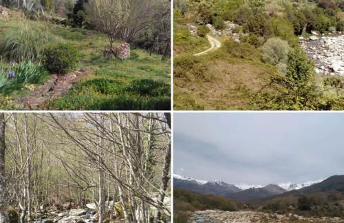 Casa Rural: La Casa Mágica de Gredos - Foto 45