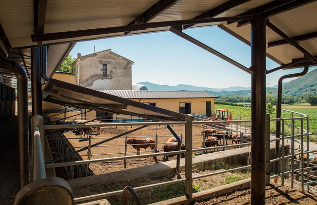 Fattoria Didattica La Collina Incantata - Photo 40