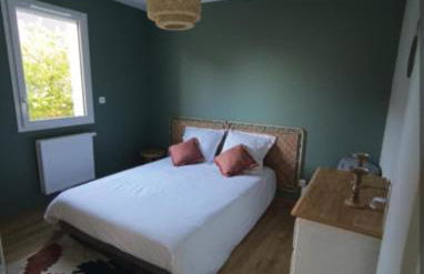 les galets de Normandie - Foto 7