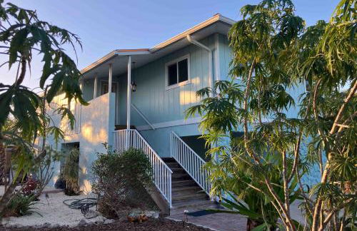 Franzone Fun - Foto 32