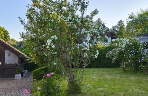 Ferienwohnung Andreas - Foto 20