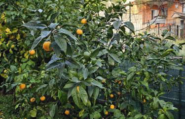 Marty&Olly Luxury Garden Apt - Foto 47