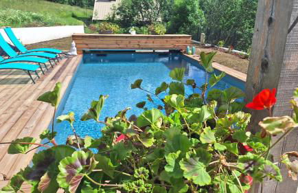 Chalet SERRE CAMBEOU Piscine&spa - Foto 5