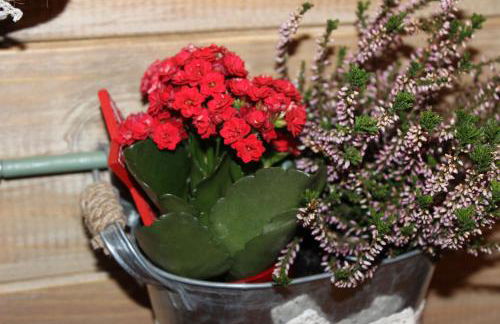 Poggio dell’Ortolano - Foto 40