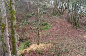 C19 Conscious, QUIET, ADULT Lake View Rental - Foto 12