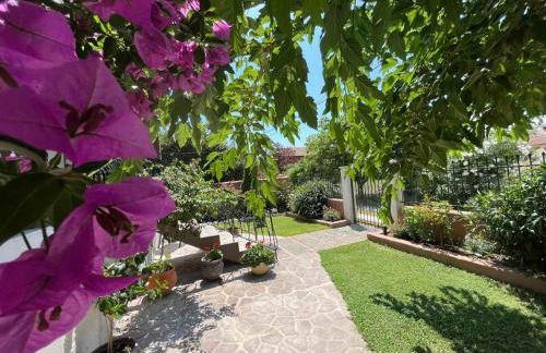 Villa Alexander - Foto 10