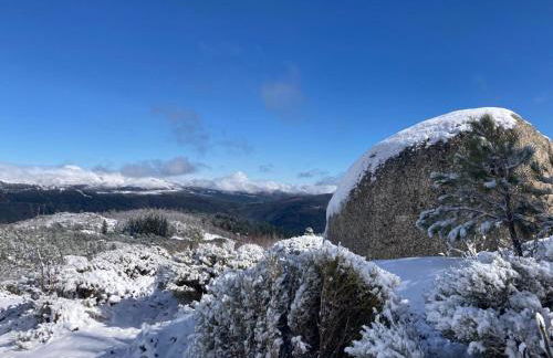 Melro-d' água - Foto 41